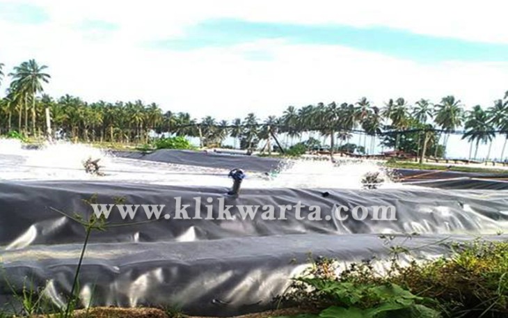 Tambak Udang di Wilayah Pesisir Kabupaten Kaur