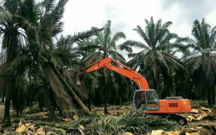 Foto : MC Bengkulu Selatan 
