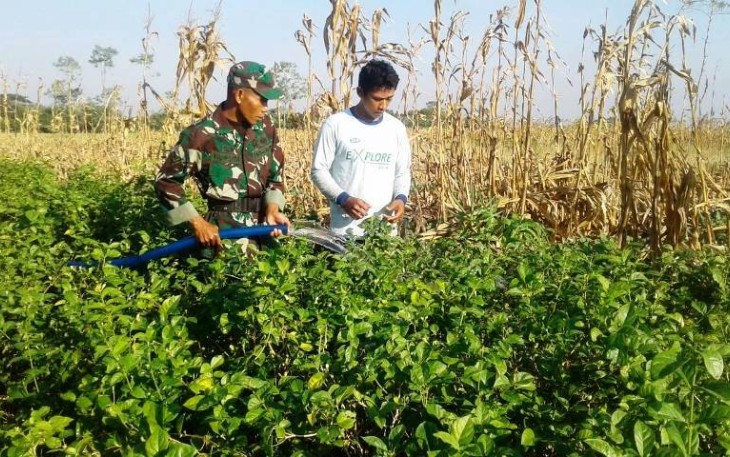 Kebun Melati Desa Jatimulya