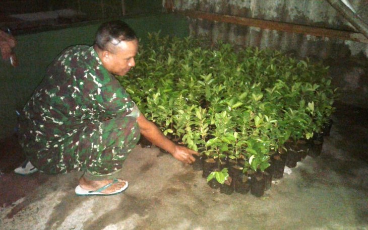 Ratusan bibit pohon siap tanam, TMMD Tegal