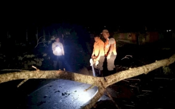 Angin Puting Beliung Tumbangkan Pohon dan Rusak Rumah Warga
