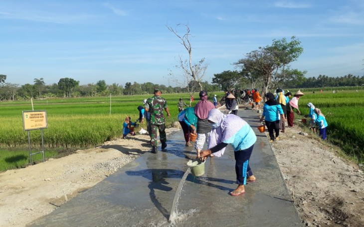 Srikandi Desa Jimbung Beraksi Di TMMD Reg 105  
