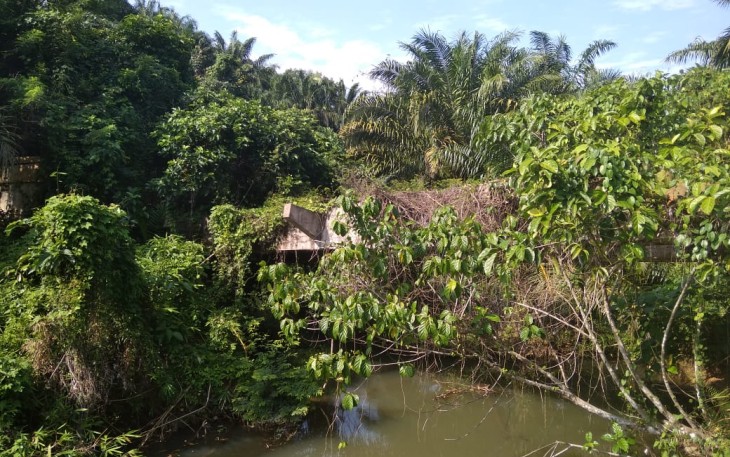 Kondisi Jembatan Bongkor 