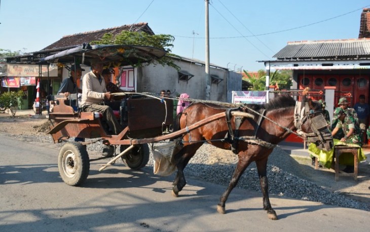 Dokar masih menjadi favorit warga Desa Jatimulya untuk Transportasi Angkutan Barang
