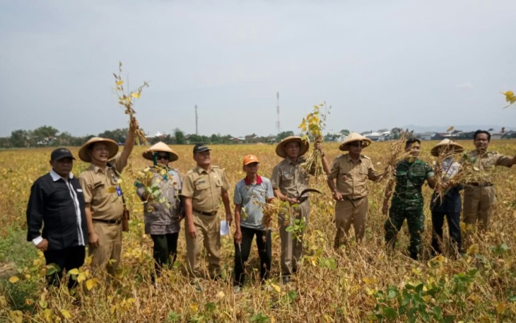 Farmer Field Day Petani