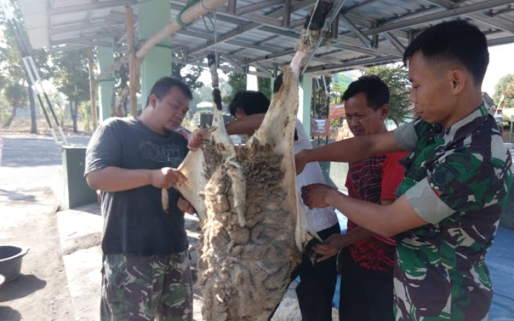 Koramil 12 Manisrenggo Potong Kambing Usai Sholat Idul Adha