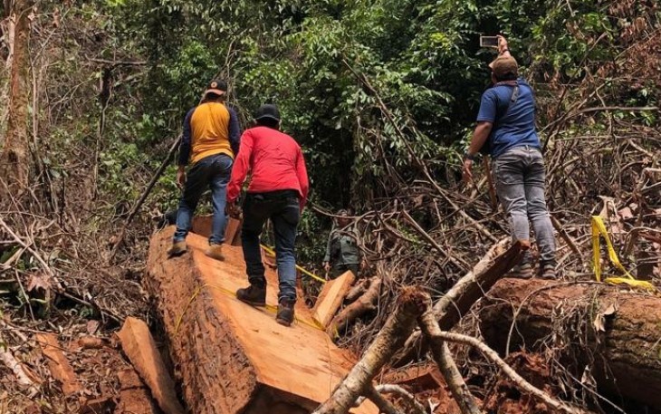 Tim melakukan pengerebekan pembalakan kanyu secara ilegal di Kecamatan Babahrot Abdya.