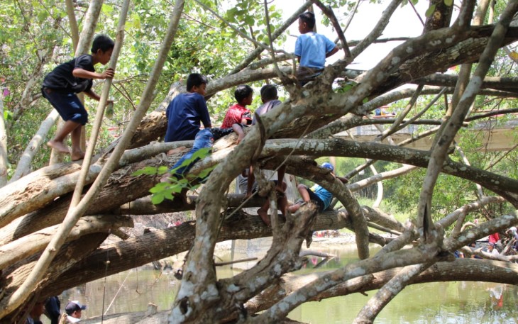 Tak Puas Melihat Lomba mancing Menyambut TMMD 106 Kodim Cilacap dari Bawah Anak-anak Panjat Pohon 