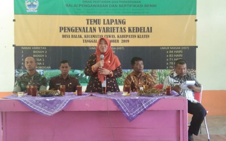 Babinsa Cawas Hadiri Temu Lapang Pengenalan Varietas Kedelai