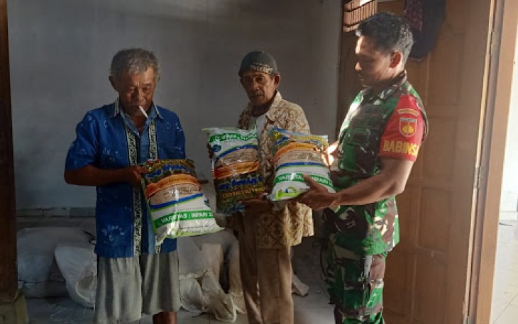 Babinsa Karangdowo Bagikan Benih Padi      