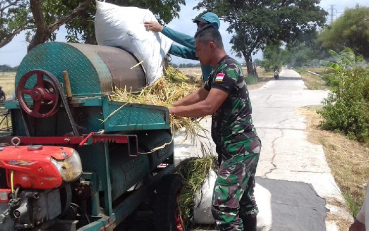 Babinsa Koramil 23 Ceper Berikan Pendampingan Khusus Pada Petani