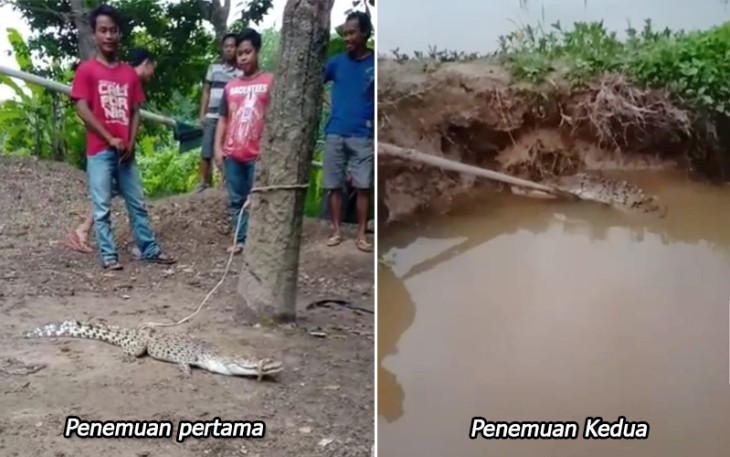 pasca kemuculan anak buaya di dua lokasi berbeda