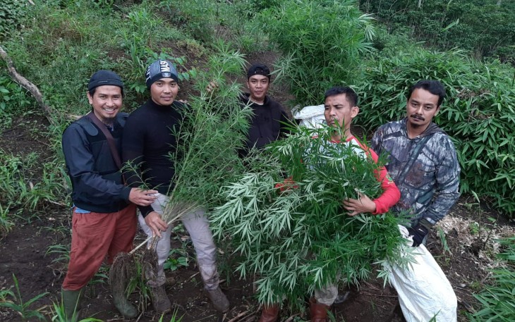 Tim Sat Narkoba Polres Rejang Lebong saat melakukan pemusnahan dan mengamankan sebagian barang bukti