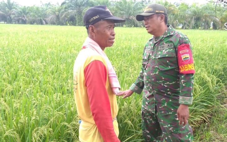Pendampingan Hanpang Terus Dilakukan Babinsa Kodim 0209/LB