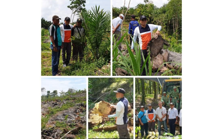 Program Replanting 