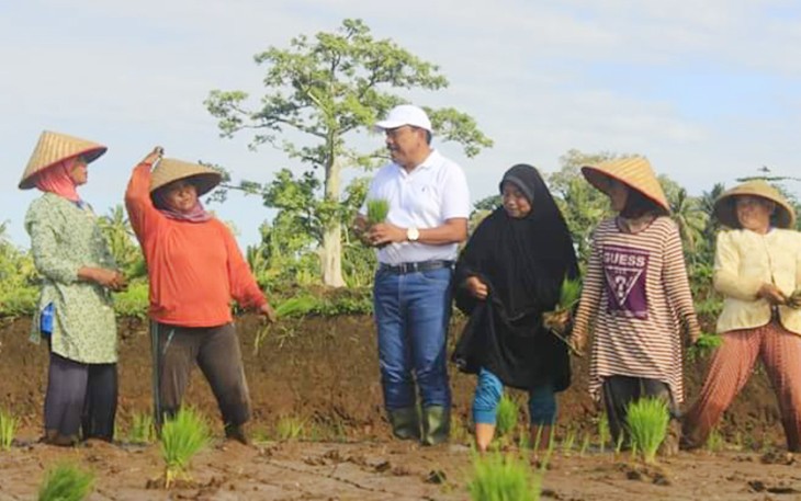 Bupati Mian Tanam Padi Bersama Petani