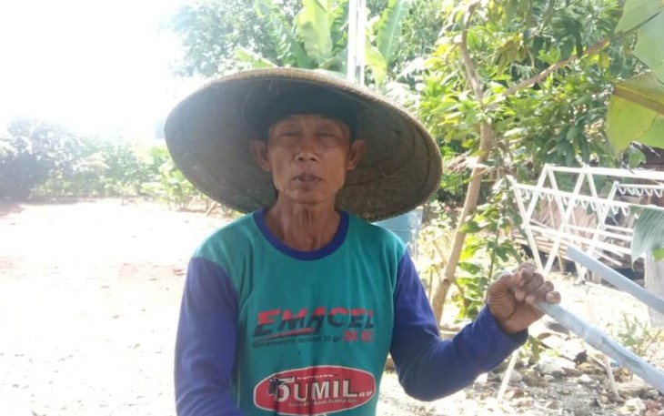 Calon (62)
