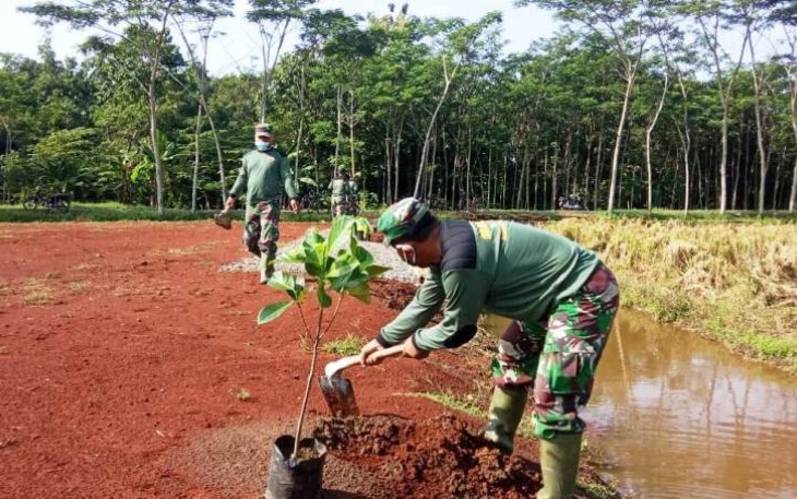 Upaya Ciptakan Kenangan Satgas TMMD Reguler Pekalongan Tanam Pohon Produktif