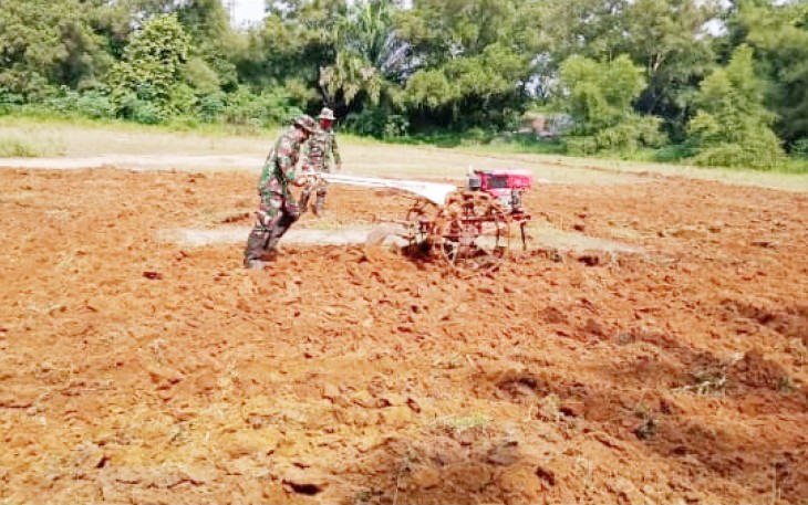 Kompi 126/KC Manfaatkan Lahan Jadi Produktif Pertanian