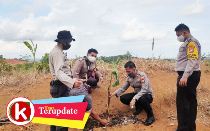 Kapolsek Napal Putih dan Bhabinkamtibmas serta anggota lainnya saat tanam pisang di kebun warga setempat