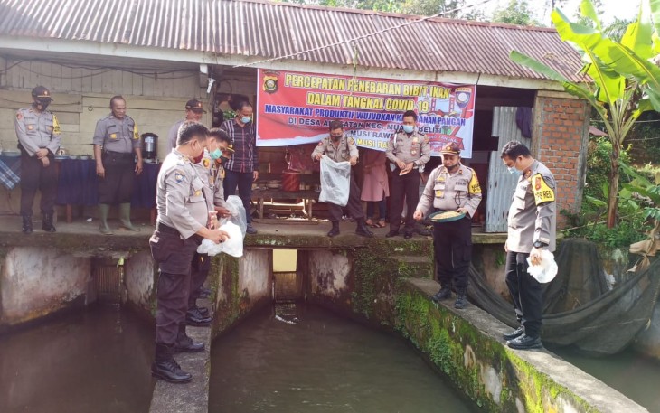 Kapolres Mura AKBP Efrannedy dan Waka Polres Mura Kompol Handoko bersama Kapolsek Tugumulyo Iptu Dadang dan Personil lainnya menebar benih ikan Kamis (9/7).