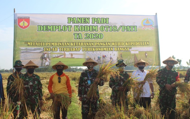 Dandim Pati ikutlangsung panen demlot 