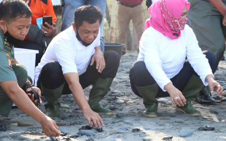 Kapolda Bengkulu Lepas saat Anak Tukik