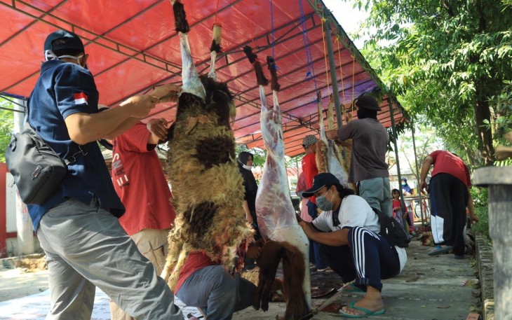 Potong Hewan Qurban