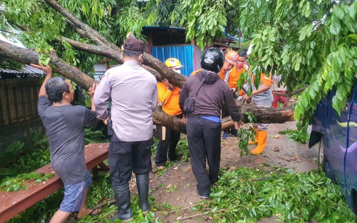 Polsek Batang Kota dan BPBD kabupaten Batang bersama masyarakat evakuasi pohon tumbang di jalan raya Mayjen Sutoyo Ds. Denasri Wetan Batang. Kamis (5/11/2020)   