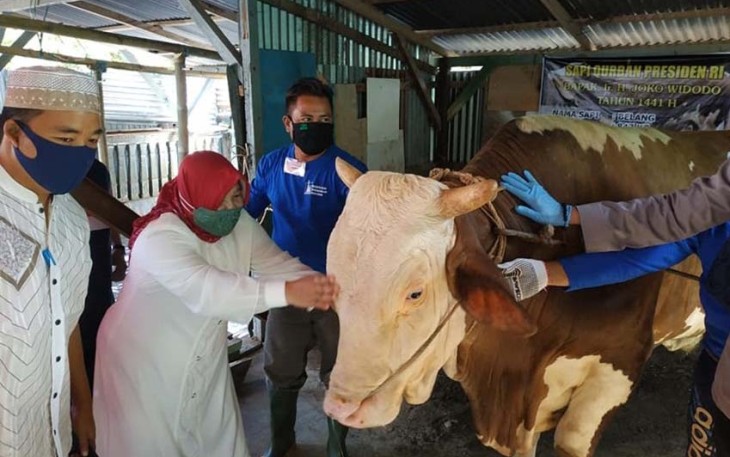 Kadis PUPR Provinsi Bengkulu Mulyani 