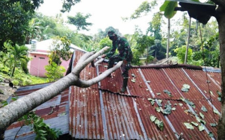 Babinsa Bersama Warga Evakuasi Pohon Tumbang yang Timpa Rumah Warga