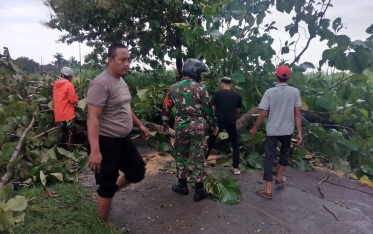 Anggota Babinsa Koramil 15/Gemolong Kodim 0725 Sragen bersama dengan anggota Polsek Sumberlawang serta masyarakat Desa Mojopuro, SAR MTA Gemolong dan Relawan Rescue Sumberlawang melakukan kerja bakti pemotongan pohon dan pembersihan jalan, Selasa (26/1).