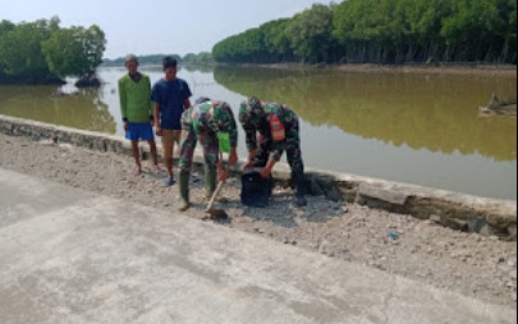 Pembangunan Turap Jalan