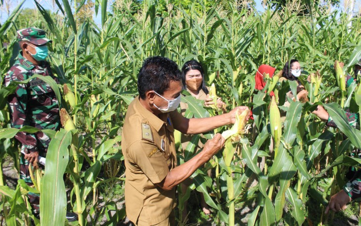 Kodim Palangka Raya Gandeng Kelurahan Pahandut Wujudkan Ketahanan Pangan
