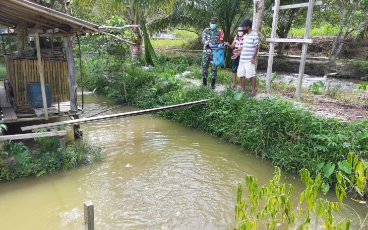 Babinsa Koramil 1016-05/Tumbang Jutuh Ajarkan Cara Budidaya Ikan Air Tawar