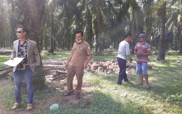 Ketua Komisi Satu Dewan Perwakilan Rakyat Daerah Kabupaten Seluma Samsul Aswajar SSos Sidak ke lokasi lahan X-HGU PT Jenggalu Permai