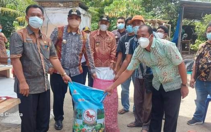 Foto : Bupati Samosir Vandiko Gultom Serahkan Bibit Untuk Kelompok Tani