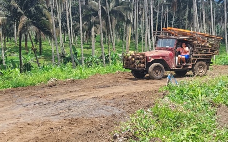 Sebuah mobil milik warga kelurahan komersot melintasi rintisan jalan pertanian