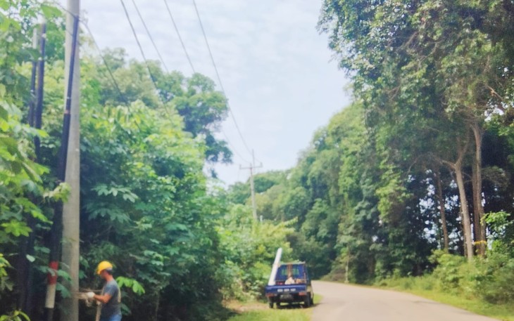 Pemasangan lampu jalan di sepanjang ruas jalan menuju sakera tanjung uban dan ruas jalan arah menuju sungai kecil tepatnya di sepanjang jalan desa Sebong pereh kecamatan Telok Sebong kabupaten bintan
