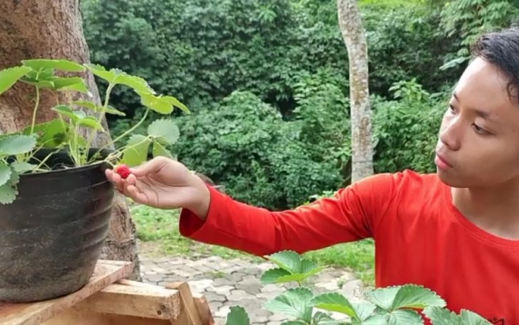 Tak Hanya Ngafal Qur’an, Santri Takhassus Cinagara Juga Diajarkan Bertani dan Beternak