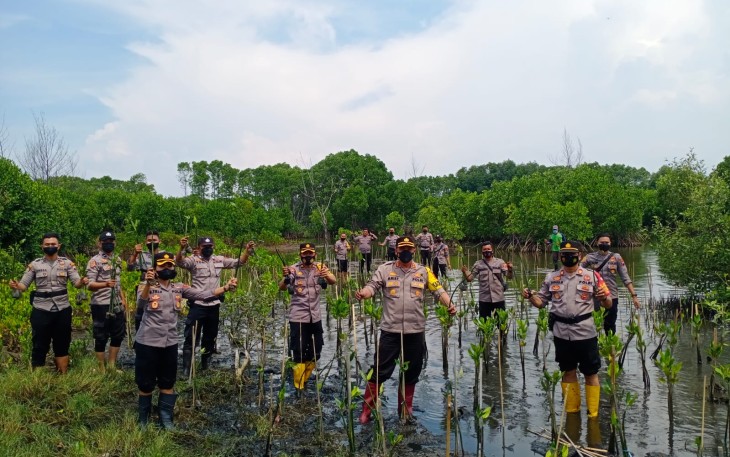 Polda Jateng menanam mangrove dalam kegiatan mageri Segoro Minggu (10/10) 