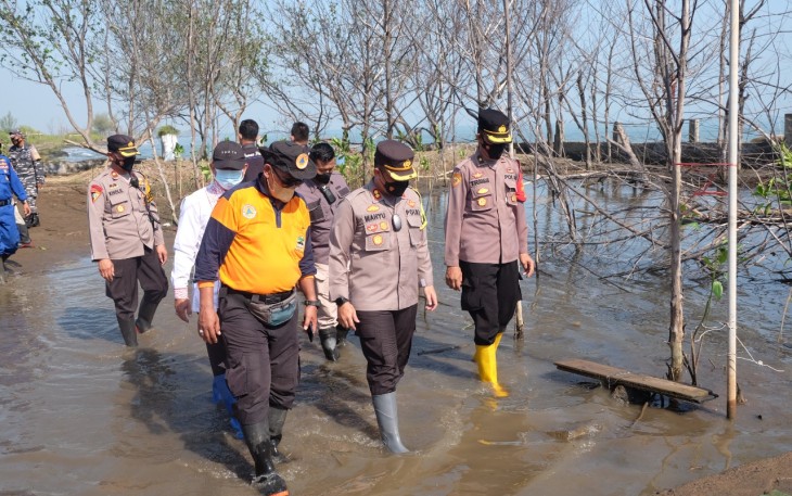 Kapolres Pekalongan Kota, Tanam Ribuan Bibit Pohon Mangrove, Mageri Segoro Di Daerah Pesisir Selasa (12/10/2021). 