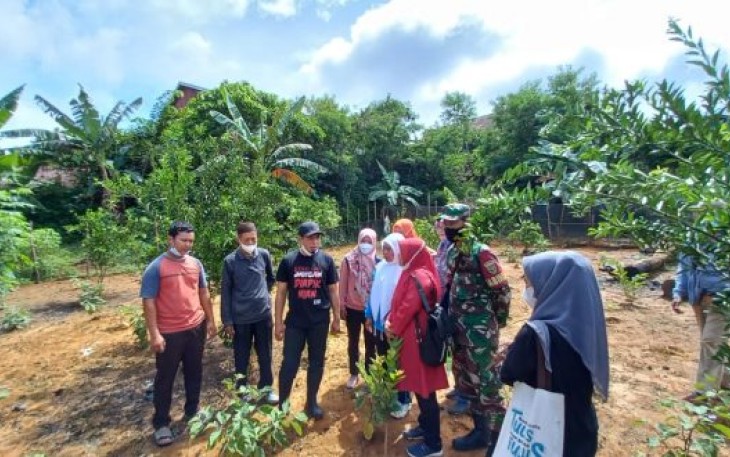 Kelompok Tani RT 3 Kelurahan Jembatan Kecil Jadi Role Model Terkait Pemanfaatan Lahan Pekarangan