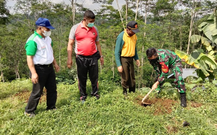 Tanam pohon untuk kelestarian lingkungan