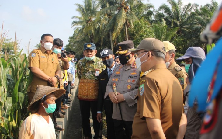 Gubernur Bengkulu Rohidin Mersyah bersama Kapolda Bengkulu Irjen Pol Guntur Setyanto dan Bupati Seluma Erwin Octavian melakukan peninjauan Program Padat Karya Percepatan Peningkatan Tata Guna Air Irigasi (P3TGAI) Balai Besar Sungai Sumatera VII dengan Kelompok Tani Tanam Bersama, di Desa Sidomulyo Kecamatan Seluma Selatan Kabupaten Seluma