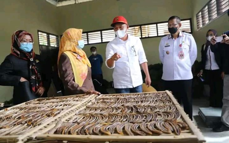 Bupati Lambar Hi. Parosil Mabsus Melakukan Peninjauan Sentra Pisang Sale Industri Kecil Menengah (IKM)