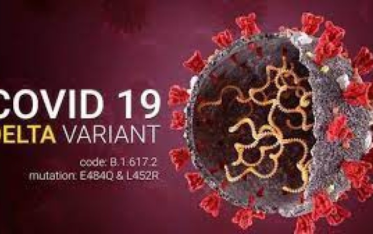 Ilustrasi - Covid 19 coronavirus Delta variant Sars ncov 2 2021. 