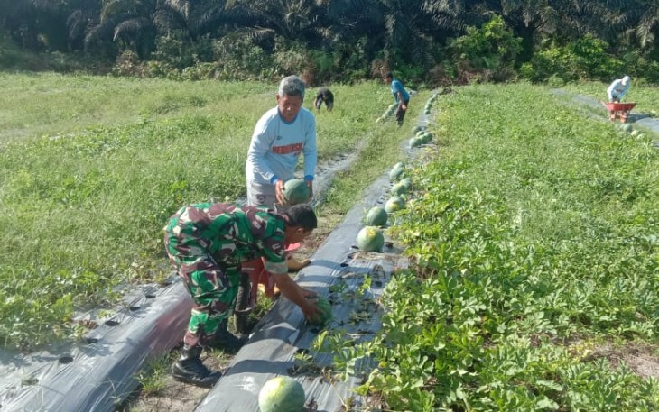 Komsos bersama petani semangka di wilayah desa binaan