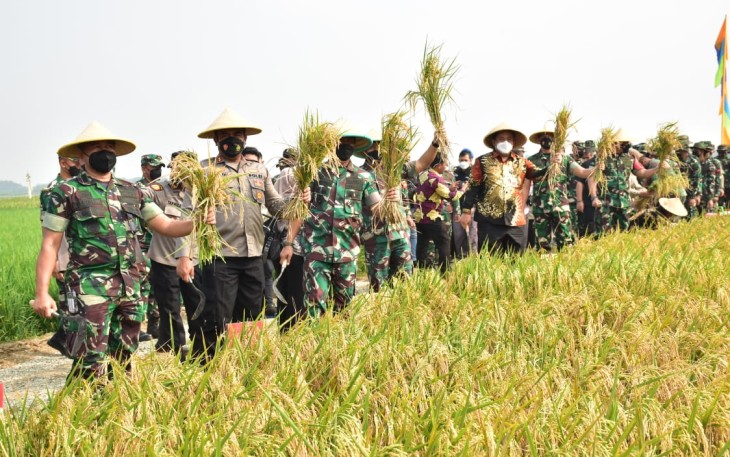 Pangdam Jaya Bersama Pemkab Bekasi saat Panen Raya, Kamis (31/3/2022).