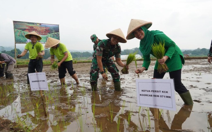 Tanam Padi Protani Protangguh Cegah Stunting